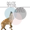 Silver Linings - Single