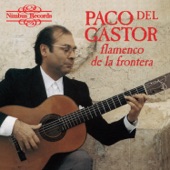 Flamenco De La Frontera artwork