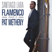 Flamenco Tribute to Pat Metheny artwork