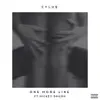 One More Line (feat. Mickey Shiloh) song lyrics