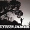 Blue Collar (feat. Brandon Jenkins) - Cyrus James lyrics