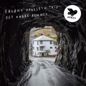 Erlend Apneseth trio - Trollsuiten (feat. Erlend Apneseth, Stephan Meidell & Øyvind Hegg-Lunde)