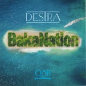 Bakanation artwork