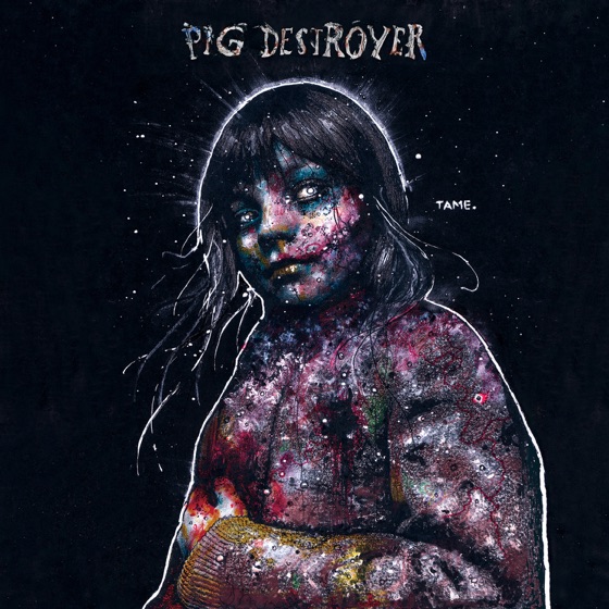 Cover artwork for Dark Satellites