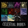 Celestial Bodies: A 12-Month Galactic Collaboration, 2013
