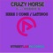 Here I Come (Radio Mix) [feat. Robbie B] - Crazy Horse lyrics