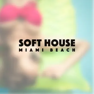 Soft House Miami Beach by Various Artists album reviews, ratings, credits