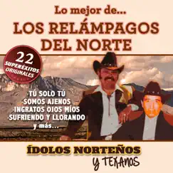 22 Superexitos (Idolos Norteños Y Texanos) by Los Relámpagos del Norte album reviews, ratings, credits