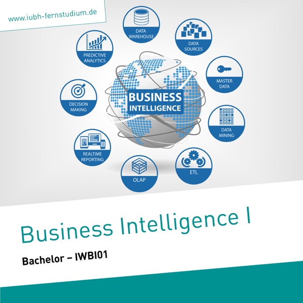 Business Intelligence I (Bachelor) cover
