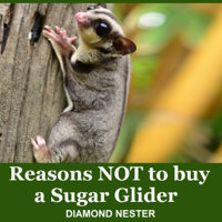 Diamond Nester - Reasons Not to Buy a Sugar Glider: A Short Guide on What to Expect When Purchasing One of These Amazing Marsupials (Unabridged) artwork