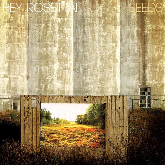 Cover artwork for Young Glass