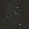 Night Flowers - EP artwork