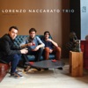 Lorenzo Naccarato Trio, 2016