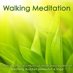 Walking Meditation – Healing & Peaceful Music for Mindfulness Meditation, Breathing, Buddhist Meditation & Yoga by Meditation Masters album reviews, ratings, credits