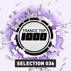 Trance Top 1000 Selection, Vol. 36, 2016