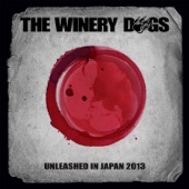 The Winery Dogs - Fooled Around and Fell In Love (Live)