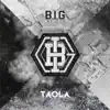 Big Transformer - Single album lyrics, reviews, download