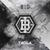 Big Transformer - Single