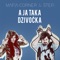 A Ja Taka Dzivocka (feat. Stefi) artwork