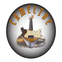 Frameless - Single by Cameltoe album reviews, ratings, credits