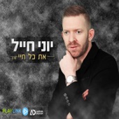 את כל חיי artwork