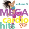 MEGA Cardio Hits vol. 3 (Non-Stop Mix for Fitness and Workout @ 135BPM)