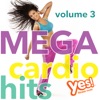 MEGA Cardio Hits vol. 3 (Non-Stop Mix for Fitness and Workout @ 135BPM), 2016