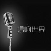 唱襄世界 (feat. 王傳一, 林俊傑, 金莎, 林宇中, 李冰冰, 洪俊揚, 胡靈 & 阿杜) artwork