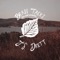 Besos - J.S. Drett lyrics