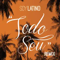 Todo Seu (feat. Well Assis) [Remix] - Single - Latino