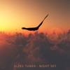 Aleks Tunka - Night Sky