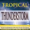 Tropical Storm with Distant Lightening Strikes - Steven Current lyrics