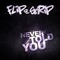 Never Told You - Flip Da Scrip lyrics