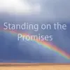 Standing on the Promises (Hymn Piano Instrumental) [Hymn Piano Instrumental] song lyrics