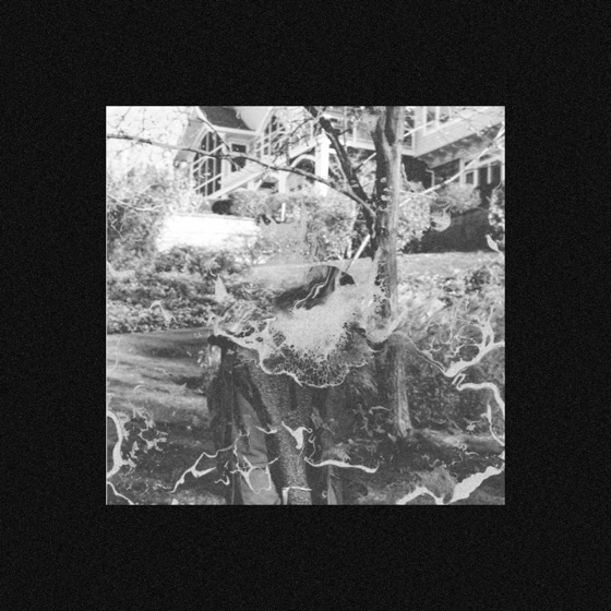 Cover artwork for Insecurities