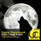 Night Things (Marcelo Tocco Remix) - Digital Department lyrics