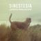 No Te Necesito - Sinestesia lyrics