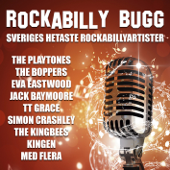 Rockabilly bugg - Various Artists