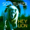 Hey Lion - Single