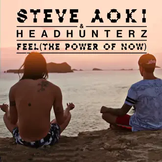 Feel (The Power of Now) by Steve Aoki & Headhunterz song reviws