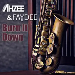 Burn It Down - Single (Radio Edit) - Single by Ahzee & Faydee album reviews, ratings, credits