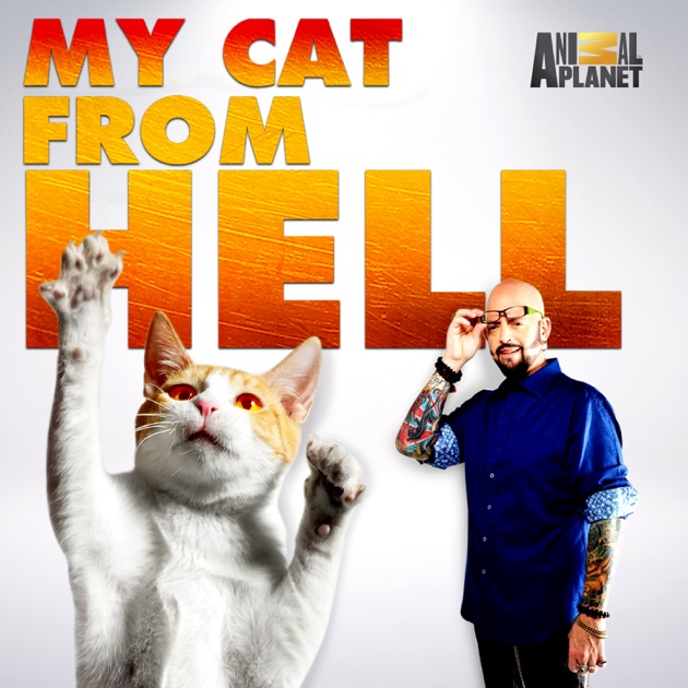 My Cat from Hell, Season 8 on iTunes