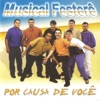 Musical Festerê
