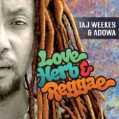Love Herb & Reggae artwork