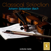 Classical Selection - Bach: Violin Concertos Nos. 1, 2 & Concerto for 2 Violins - Hans Kalafusz & Wolfgang Rösch