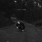 Burn (feat. Wrenn) - Auram lyrics