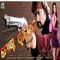 Bidi Chad Sanga Abe - Bibhu Kishore lyrics