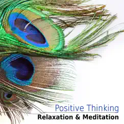 Positive Thinking – Relaxation and Meditation, Sounds of Nature, Anti Stress Music, Serenity by Relaxation Zone album reviews, ratings, credits