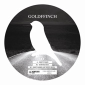 GoldFFinch - Burned Bit