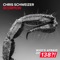 Scorpion - Chris Schweizer lyrics